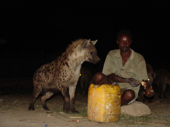      mk18662_the hyena man in harar2.jpg